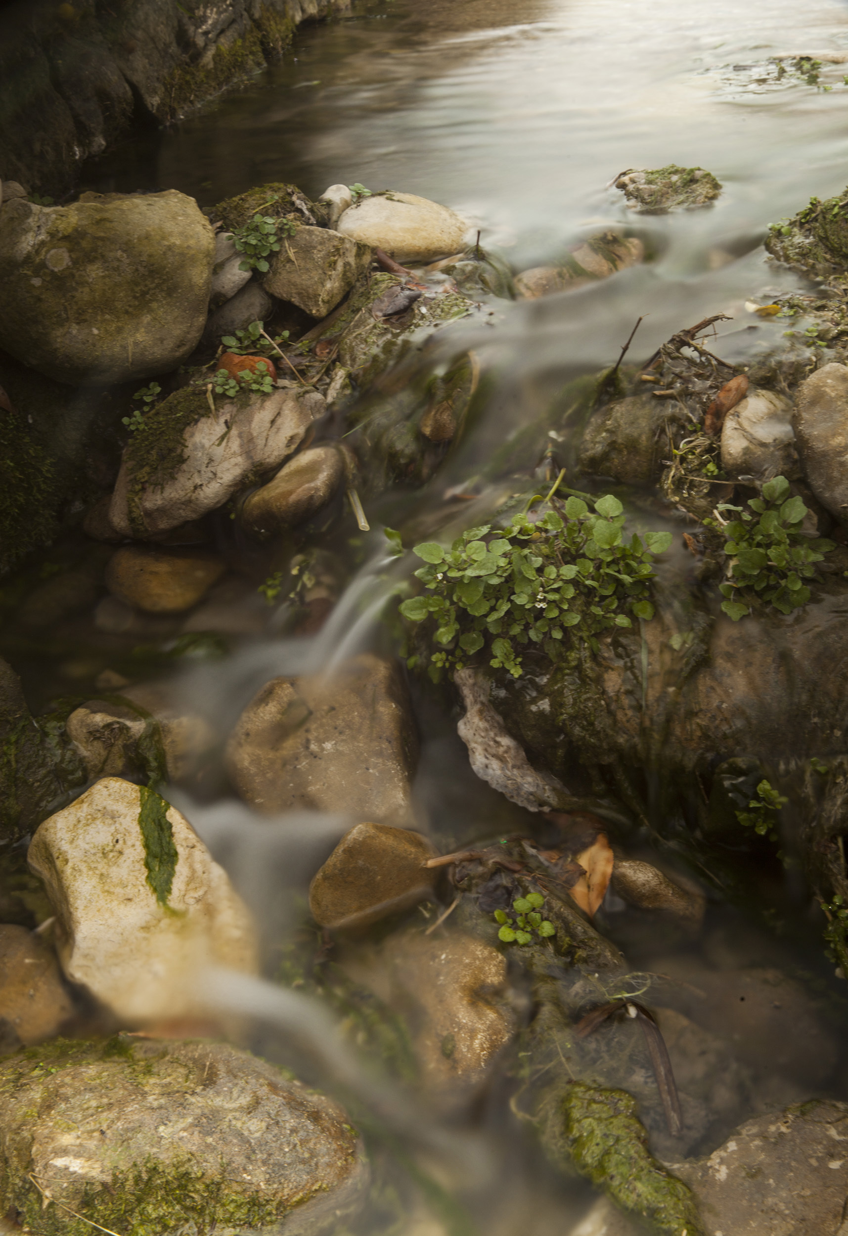 Rocks on a riverbed