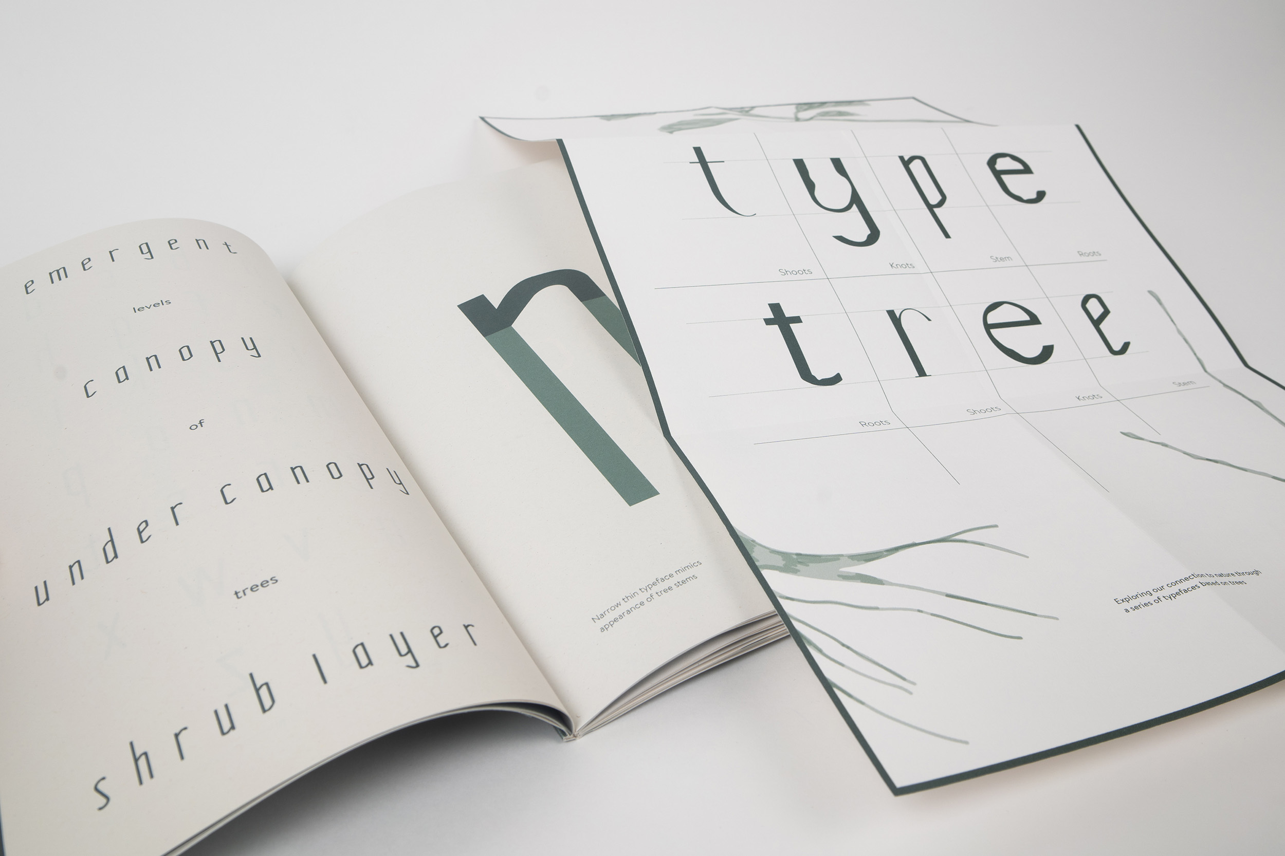 Examples of font called 'type tree'