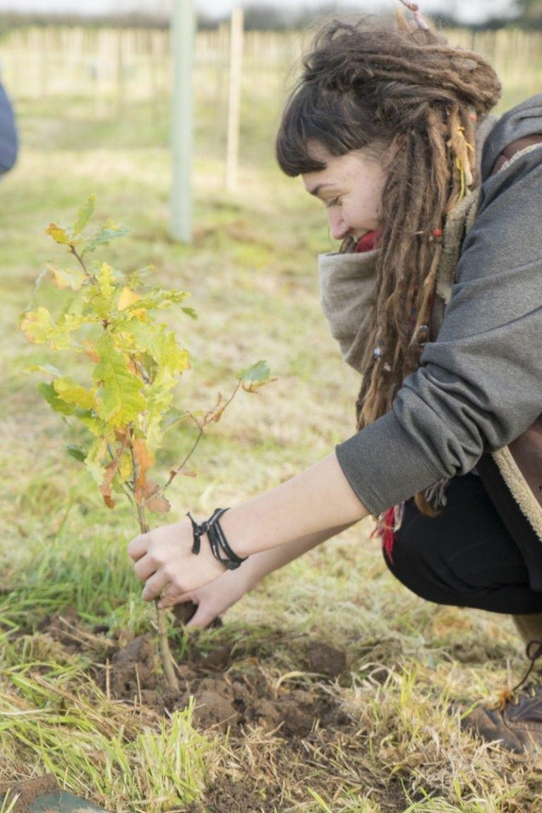 A student crouching down in a field planting a tree sapling.