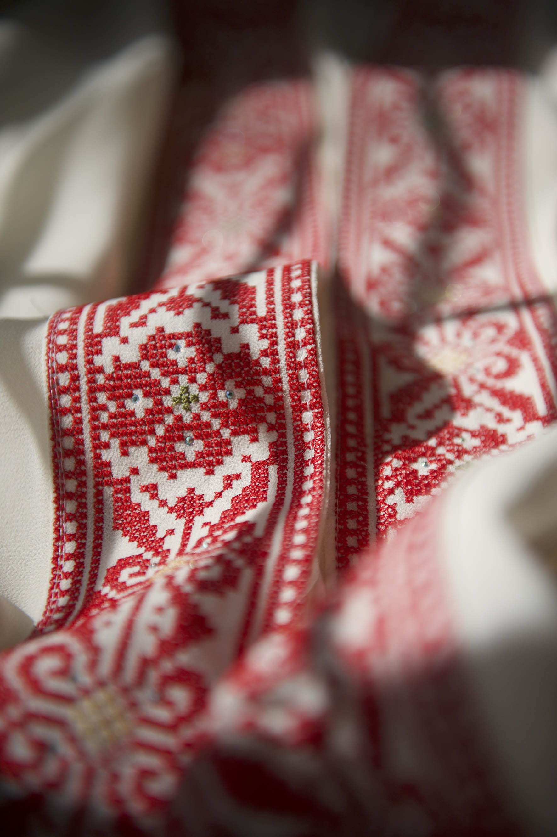 A close up on the detailed pattern of Ala'a's traditional dress