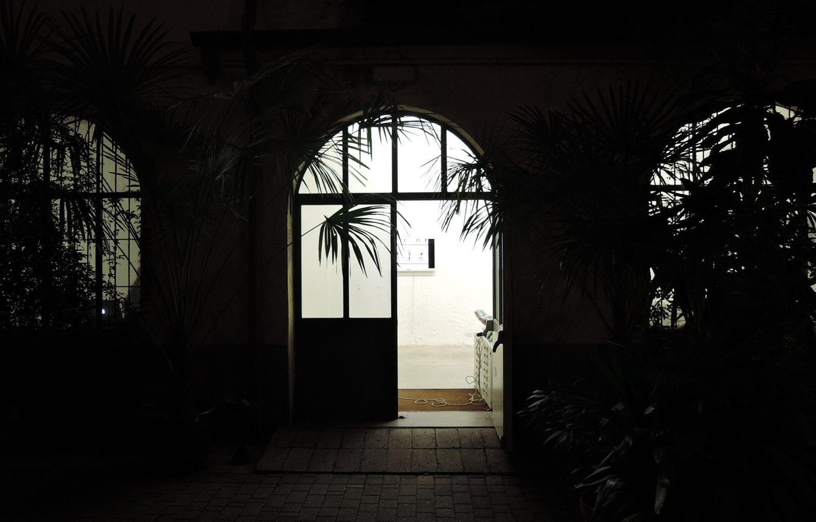 A well-lit archway with windows and palm trees visible. Windows either side are partly blocked by other plants.