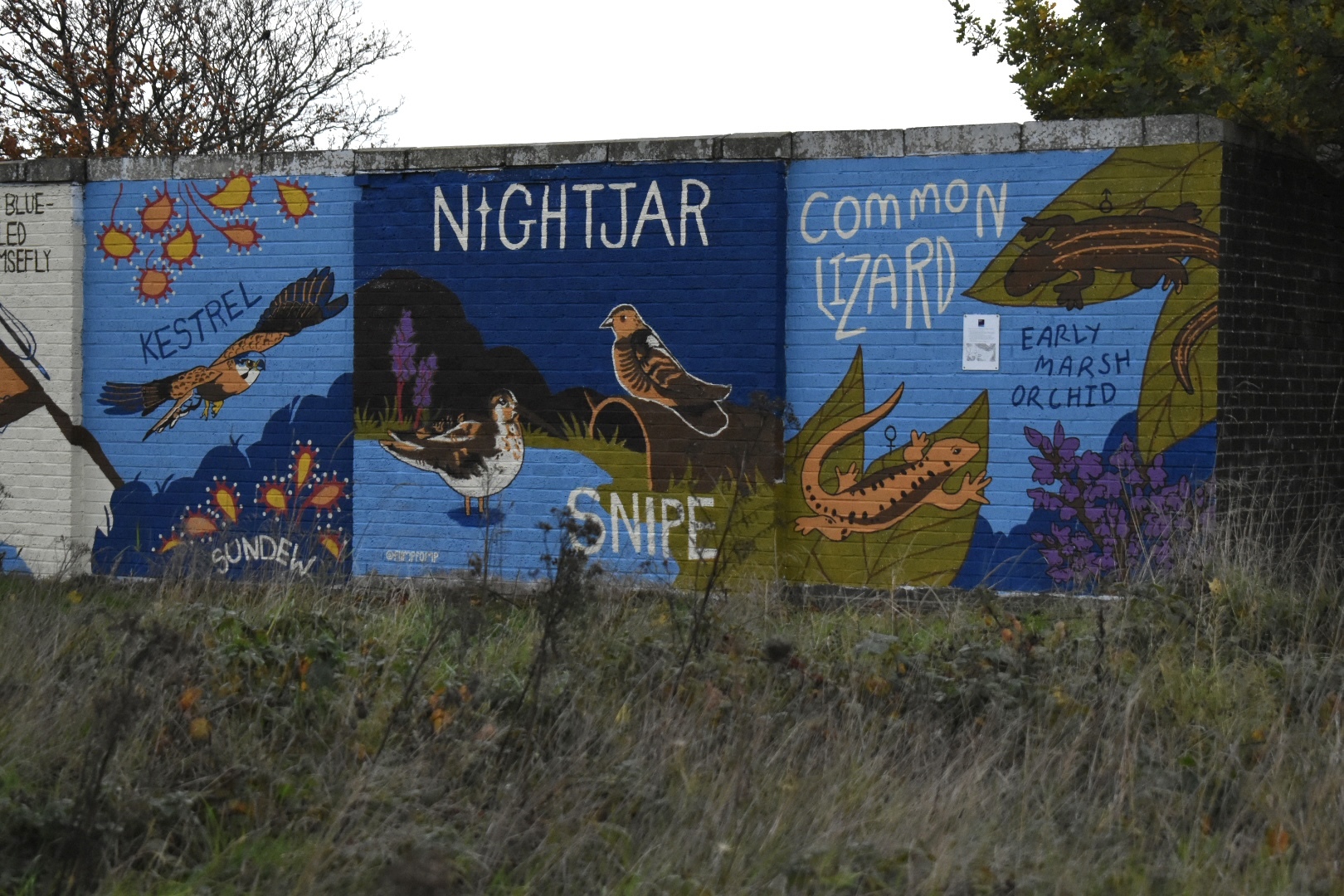 Blue mural featuring painted birds including nightjar, snipe, and kestrel with white text labels against vegetation backdrop.