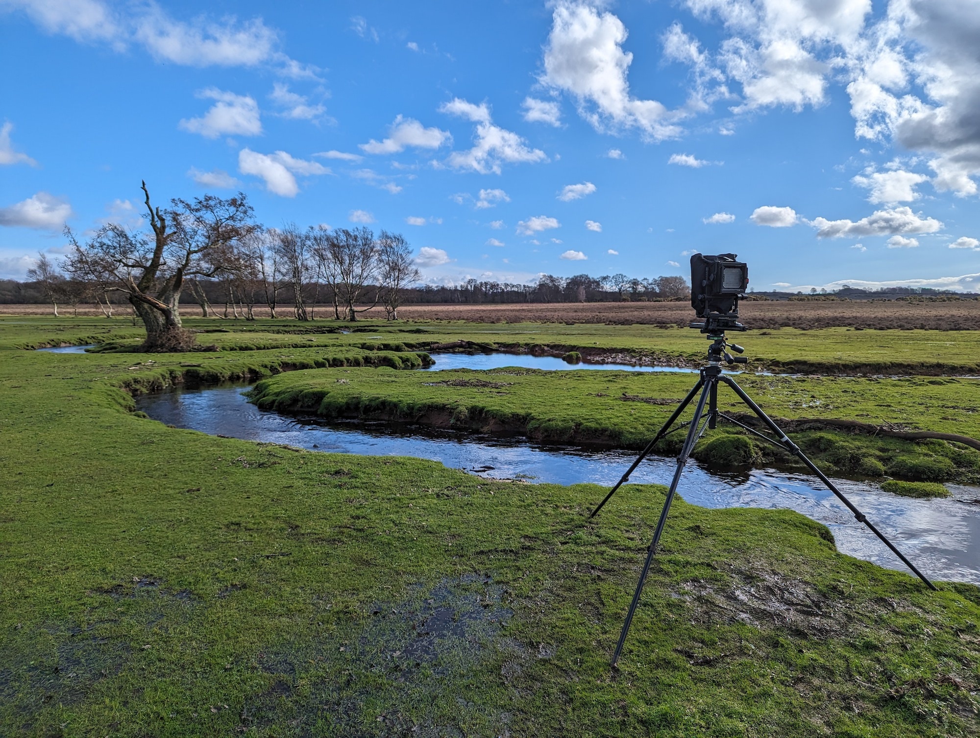 A camera set up on a tripod on a grass field with a river running through it and a bare tree in the distance.