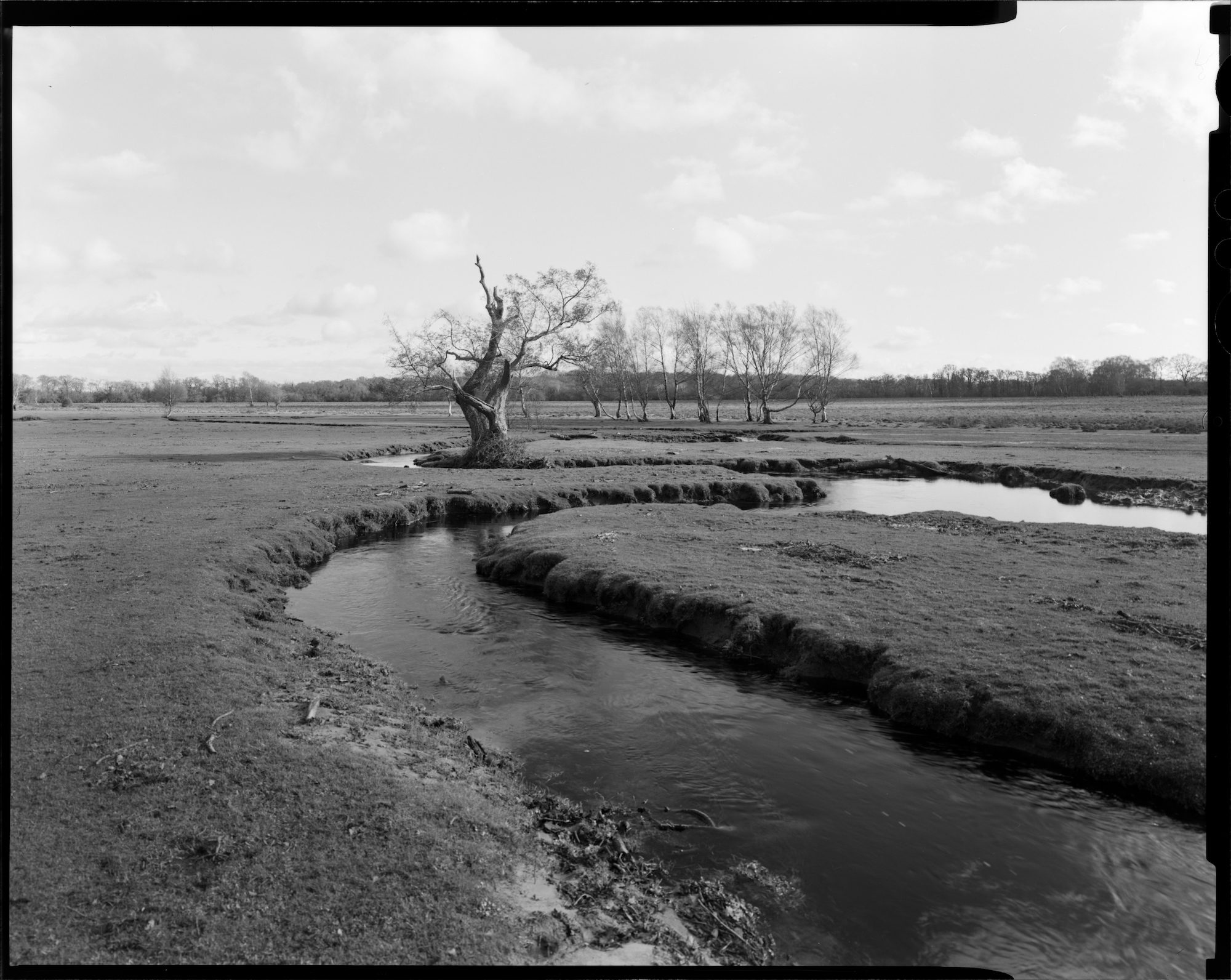 Black-and-white photograph of a grass field landscape with a river running through it and a bare tree in the distance.