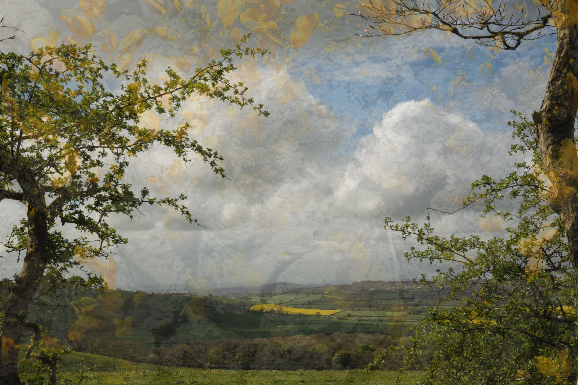A wide landscape painting of a green valley beneath a cloudy sky, framed by trees on both sides.