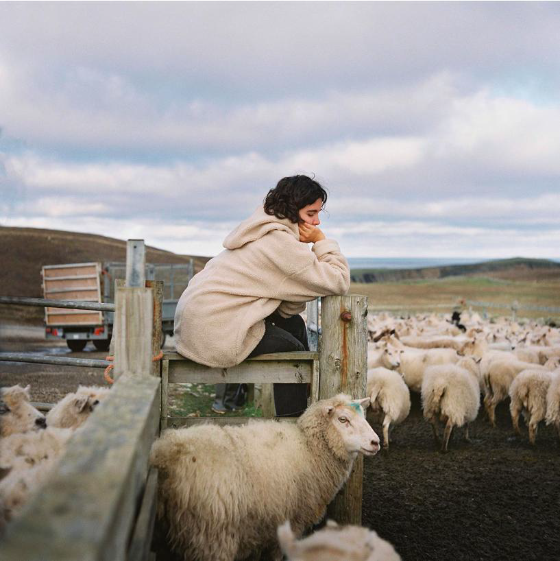A woman sits on a wooden fence overlooking a flock of sheep in an open field. She wears a beige oversized sweater and leans forward with her chin resting on her arms, while a vehicle is visible in the background among the rolling hills.
