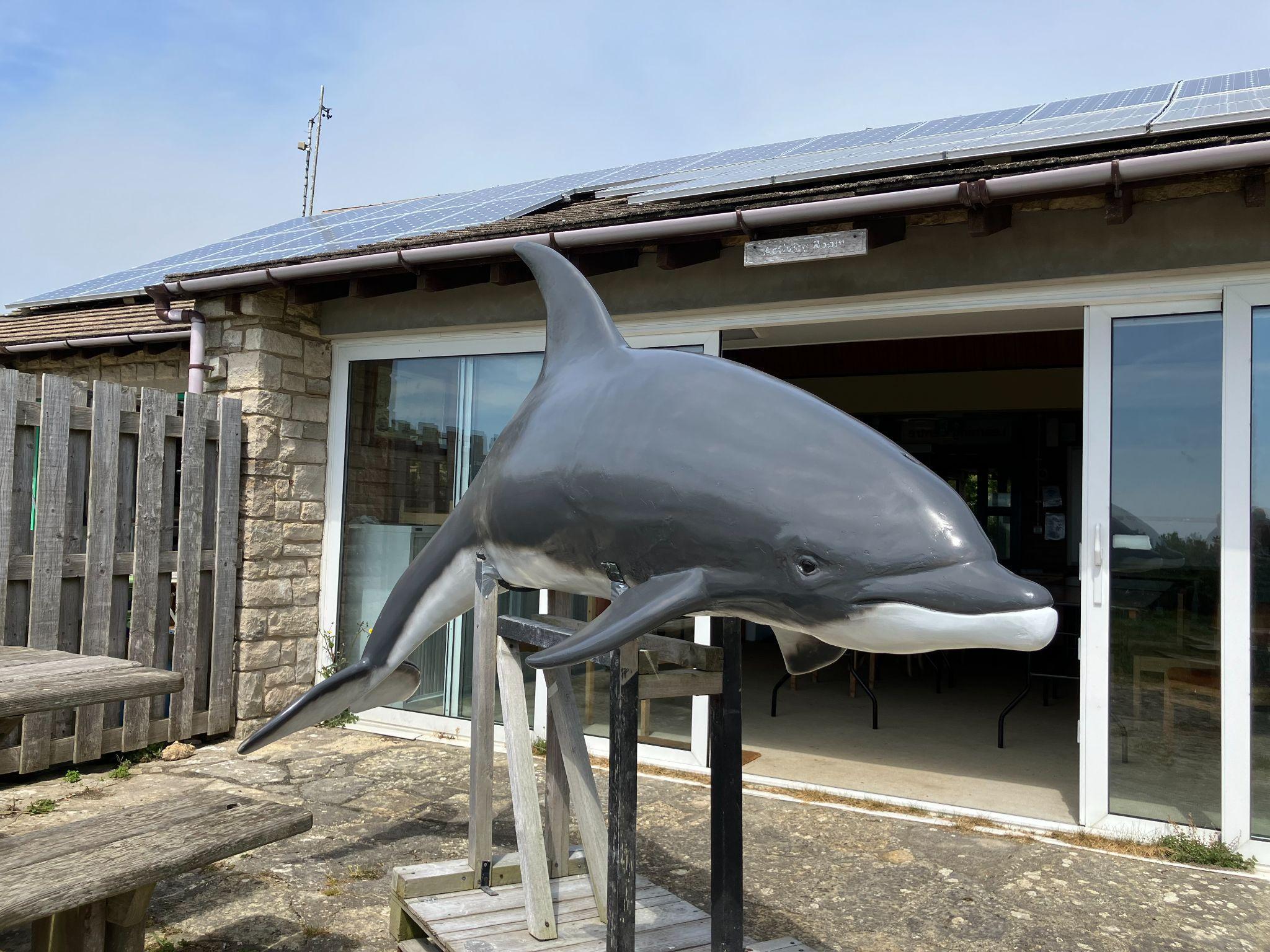 Large grey dolphin sculpture with white belly mounted on metal stand outside a modern building with solar panels and glass doors.