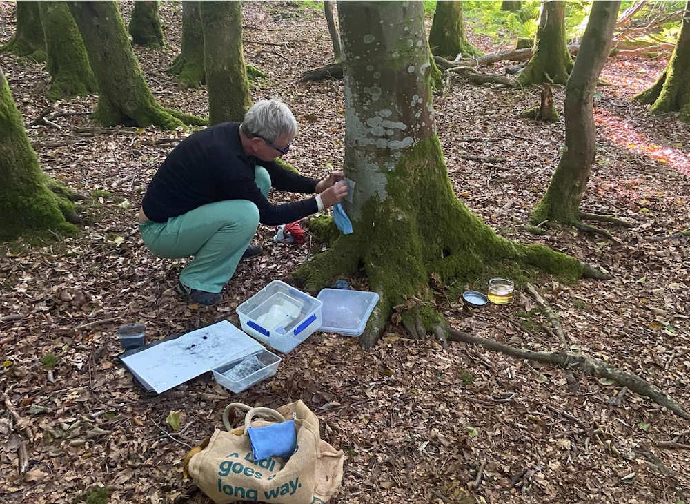 Man crouching beside moss-covered tree trunk in woodland, using drill tool. Papers spread on forest floor, canvas bag nearby.