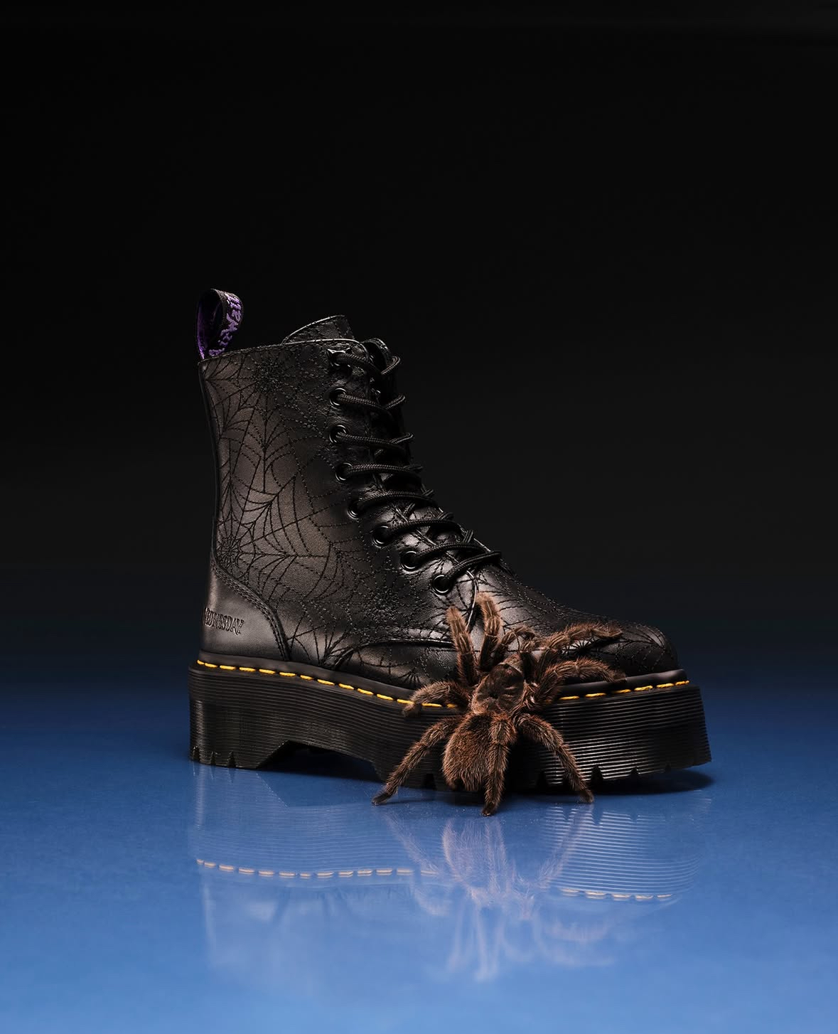 Black leather boot with web pattern and yellow stitching on blue reflective surface. Large brown tarantula positioned in front of boot.