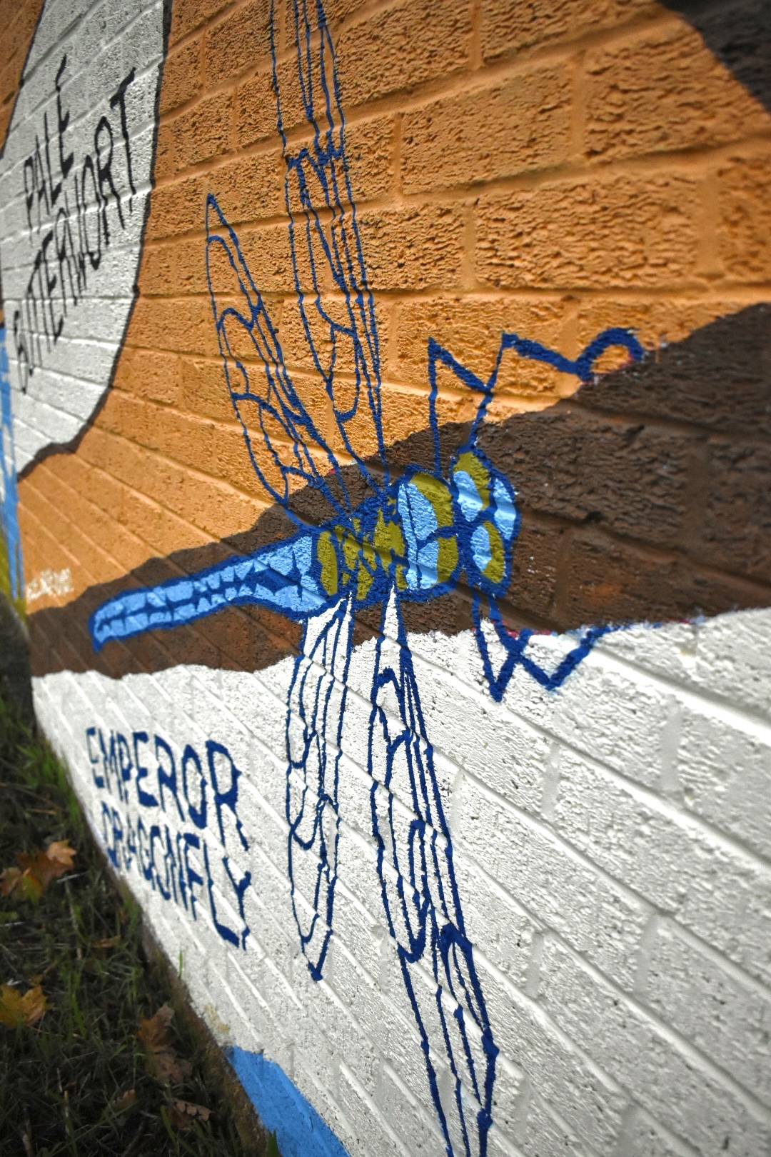 Street art mural on brick wall featuring blue dragonfly with outstretched wings above black line drawing of figure, orange and white sections