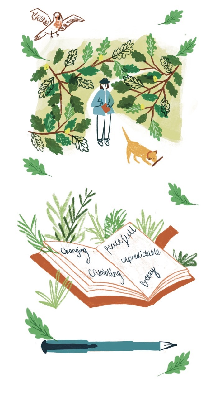 Illustration of leaves, a book and a dog surrounded by foliage, Kevan and a dog amongst them.