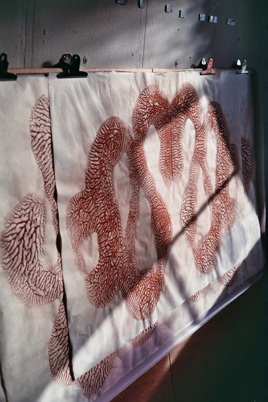 2.	Fractal print on paper, clipped to a wooden board and leaning against a wall, with shadows and light cast across it.