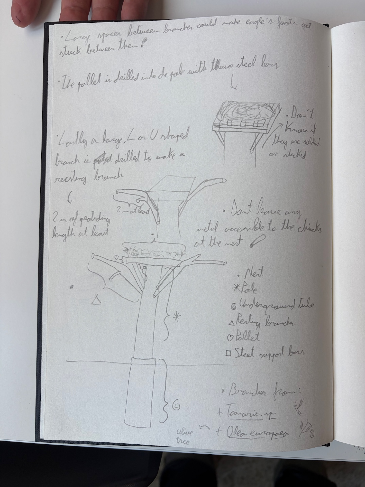 A sketch in a notebook illustrating a conceptual design for a tree-like structure with written notes. The design includes a sturdy trunk, branches, and a flat platform, alongside annotations describing features like a net and access for children.