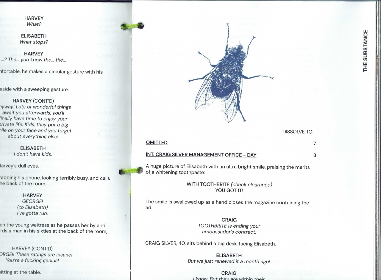 Book page showing dialogue text on left, detailed blue ink drawing of a large fly in centre, and more text on right side.