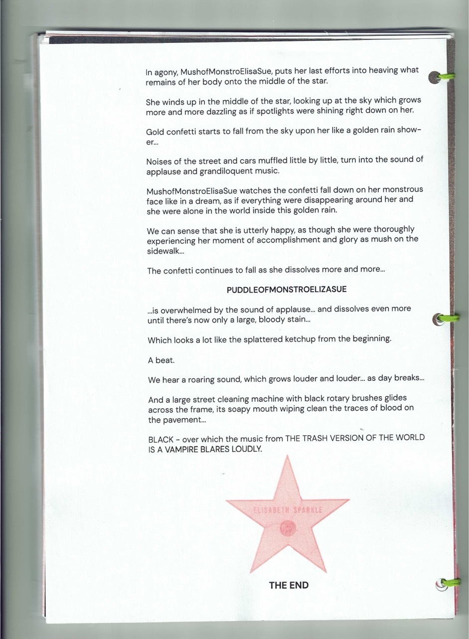 Text document with black text on white background. Pink star graphic at bottom with "THE END" below it.