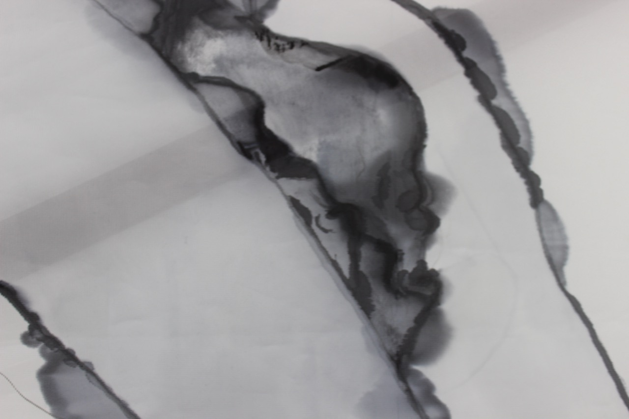 An abstract artwork featuring fluid black ink on a white background. The design includes organic shapes with varying shades of grey and black, creating a sense of depth and movement.