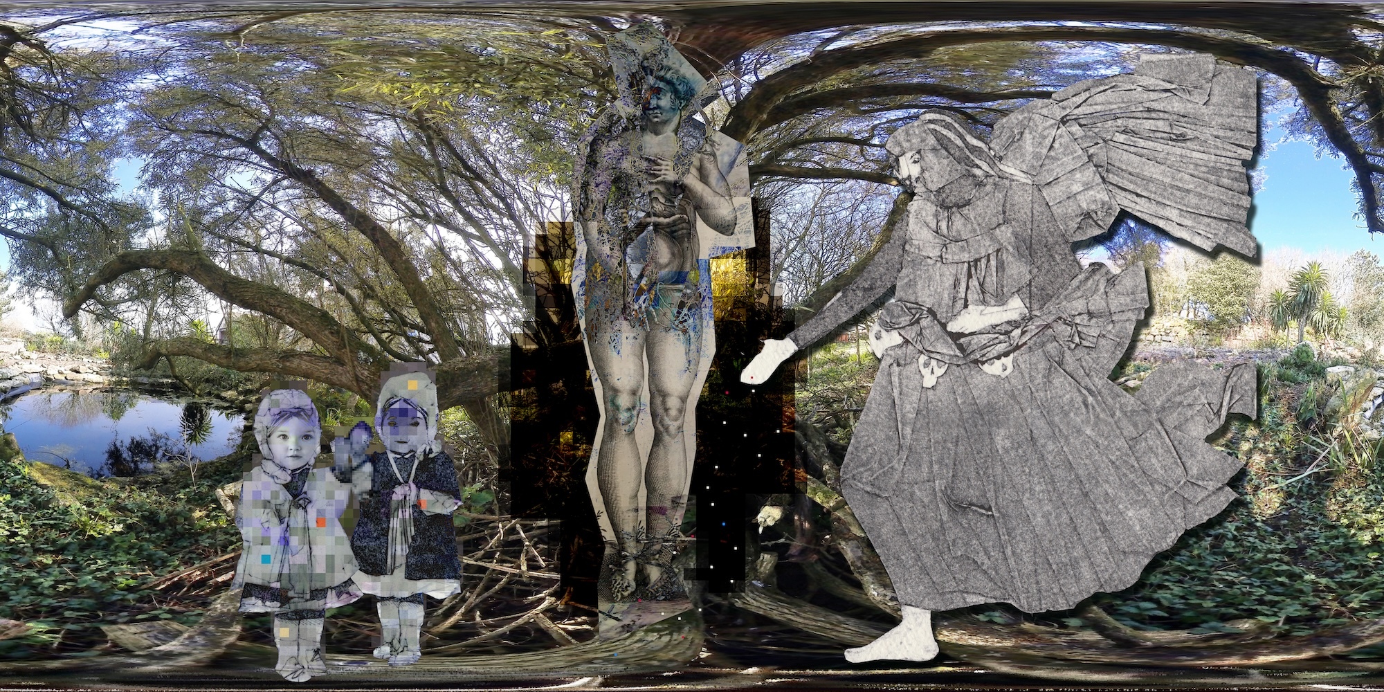A forest background, which has been digitally stretched. Three black-and-white images, partly photographic, partly illustrated, are superimposed in the foreground.