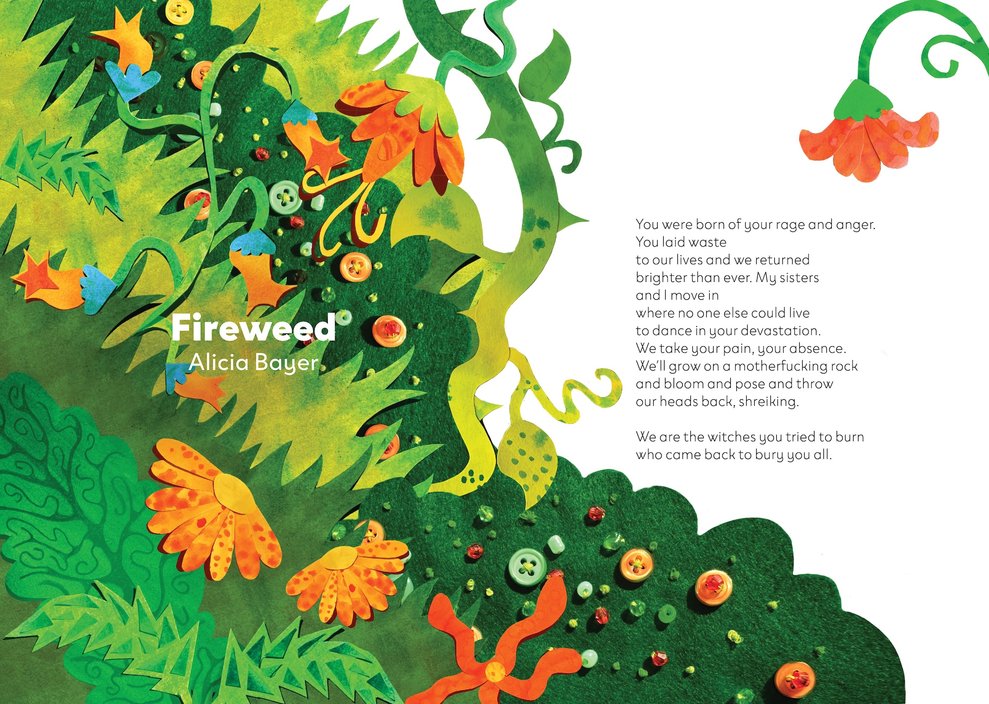 A colourful illustrated book cover titled Fireweed by Alicia Bayer, showing layered green foliage, orange flowers and button-like berries beside a poem printed on a white background.