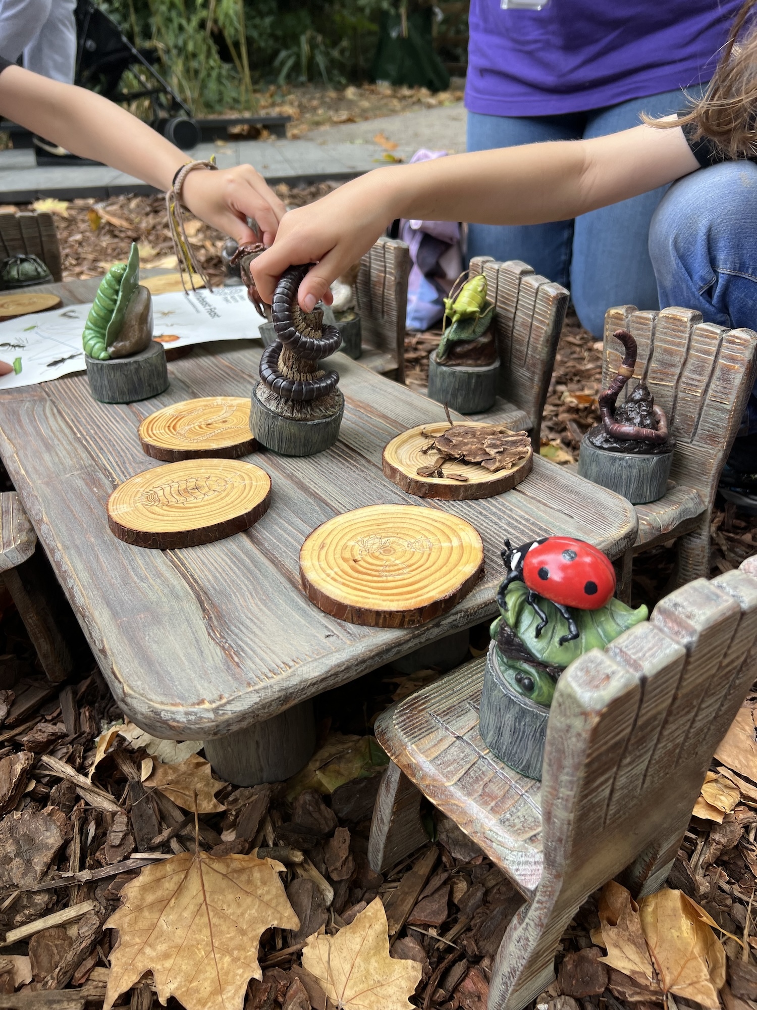 Children interacting with models of a ladybird, a millipede, an earthworm, a caterpillar, a spider, a woodlouse, an aphid, a centipede, an ant and a snail gathered around a rustic wooden table on matching chairs on the grass.