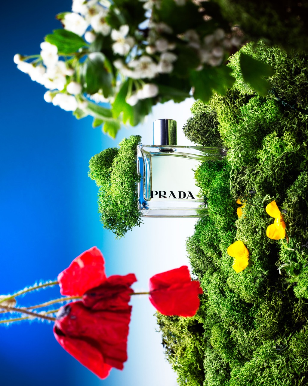 A Prada perfume bottle placed among vibrant green moss and surrounded by red and yellow flower petals. The background features a blue gradient, enhancing the fresh and natural setting.