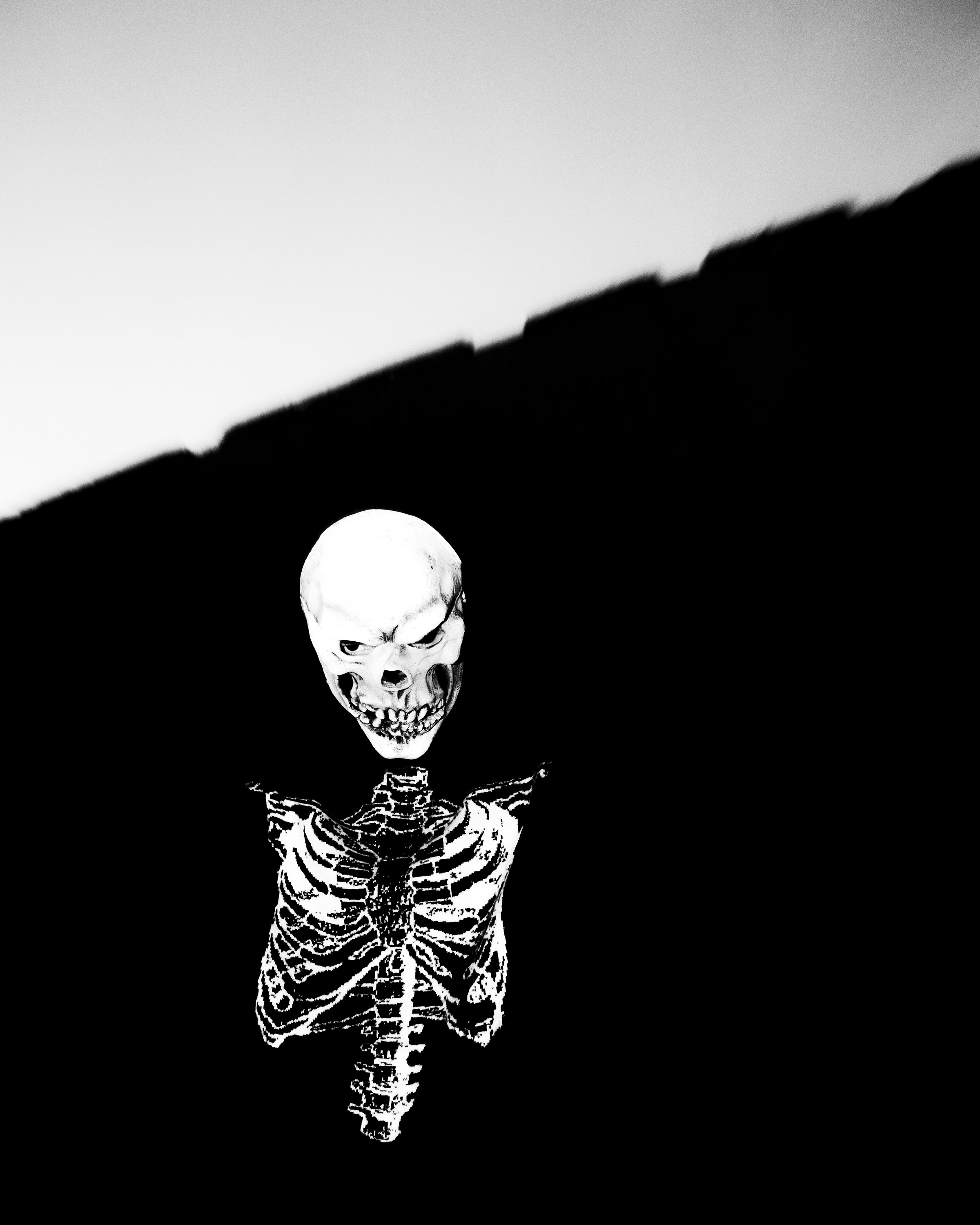 A small skeleton figure stands against a dark background, with its hands clasped in front of it. The depiction is in black and white, focusing on the skeletal structure and the shape of the figure.