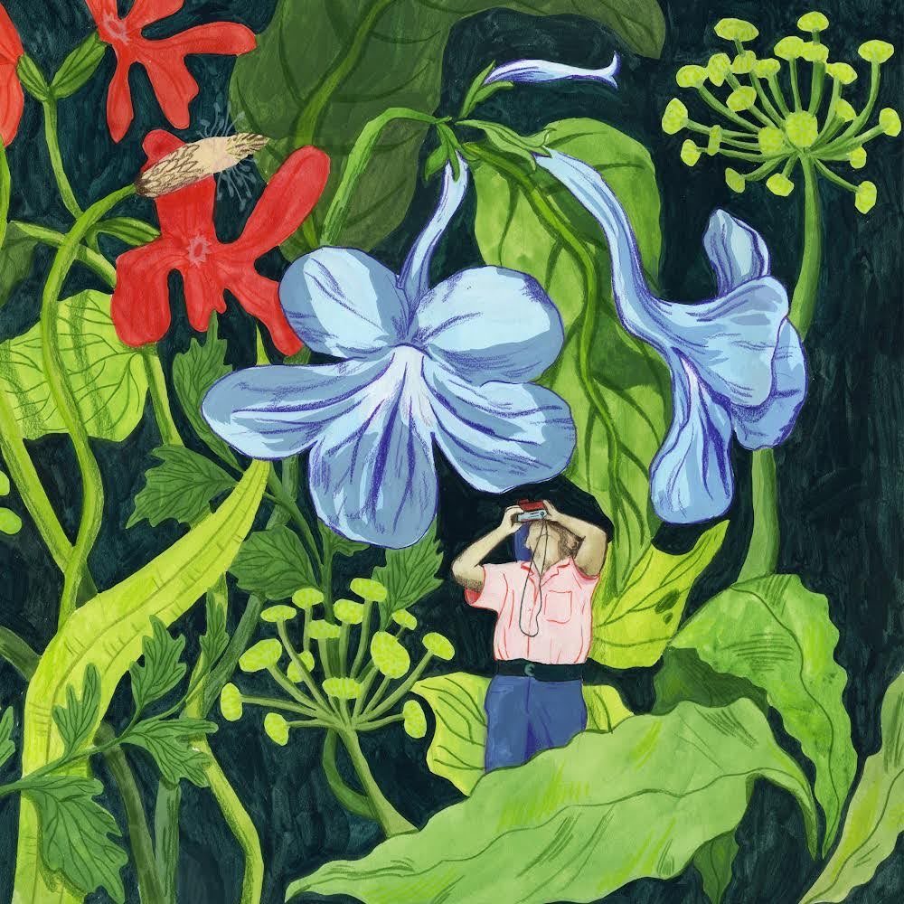 Colourful floral illustration with a person holding a camera, dark background.