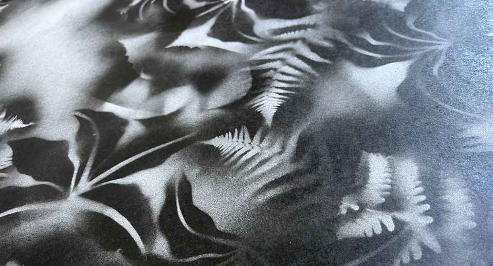 Black and white photogram showing overlapping fern fronds and leaves creating abstract patterns with varying grey tones and shadows.