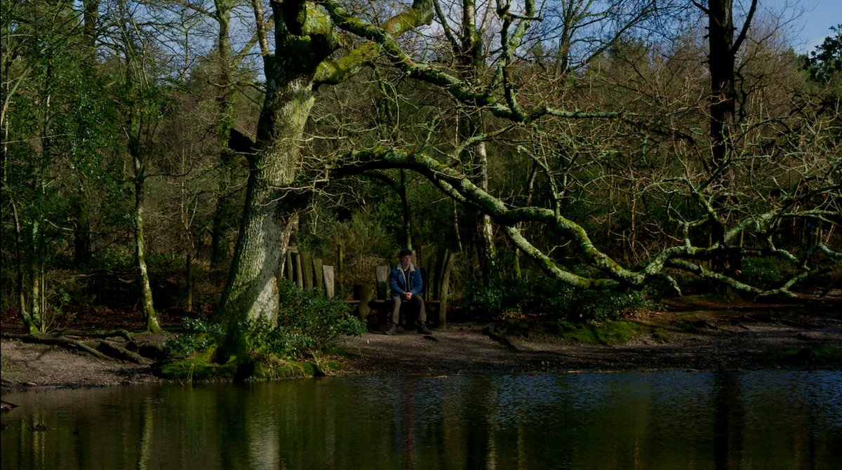 Person sitting beneath large moss-covered tree beside still water, surrounded by dense woodland with bare and leafy branches.