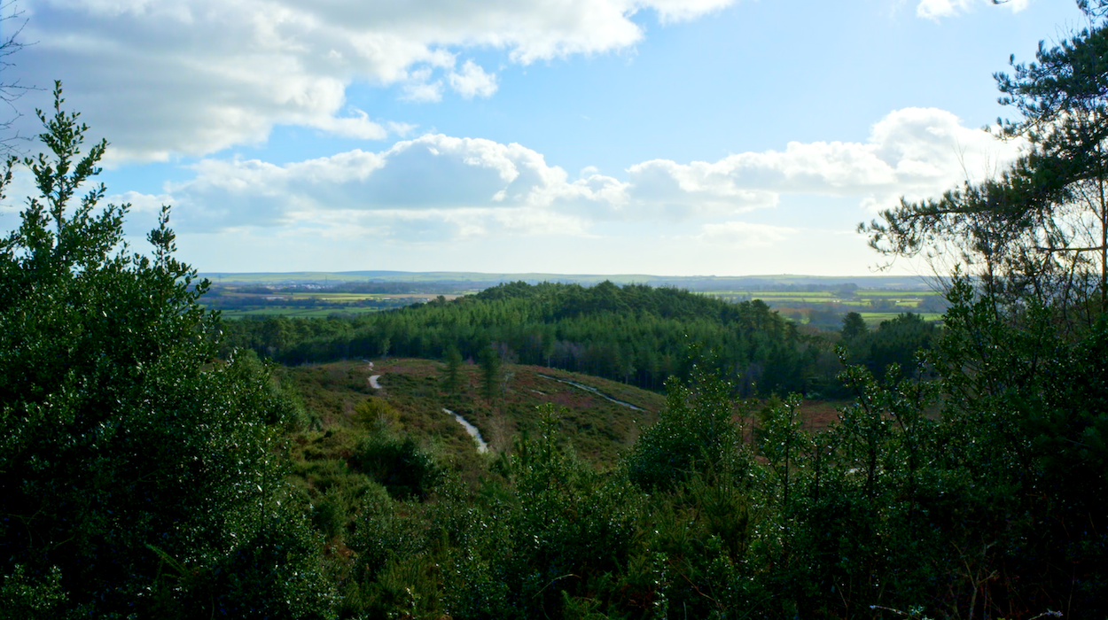 Rolling green hills and forested valleys under cloudy blue sky, viewed from elevated position through trees in foreground.