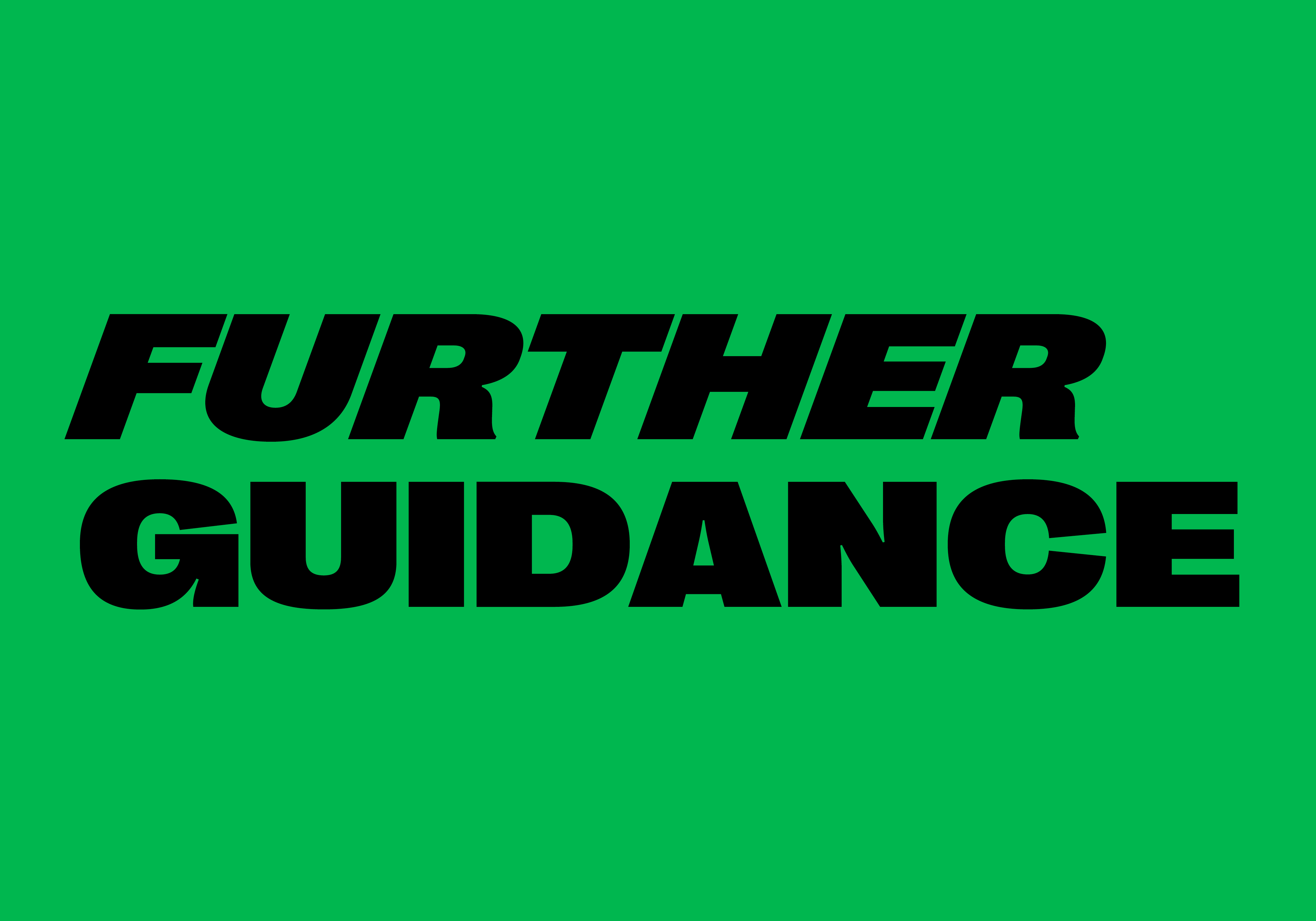 Bold black text reading "FURTHER GUIDANCE" in sans-serif font on bright green background.