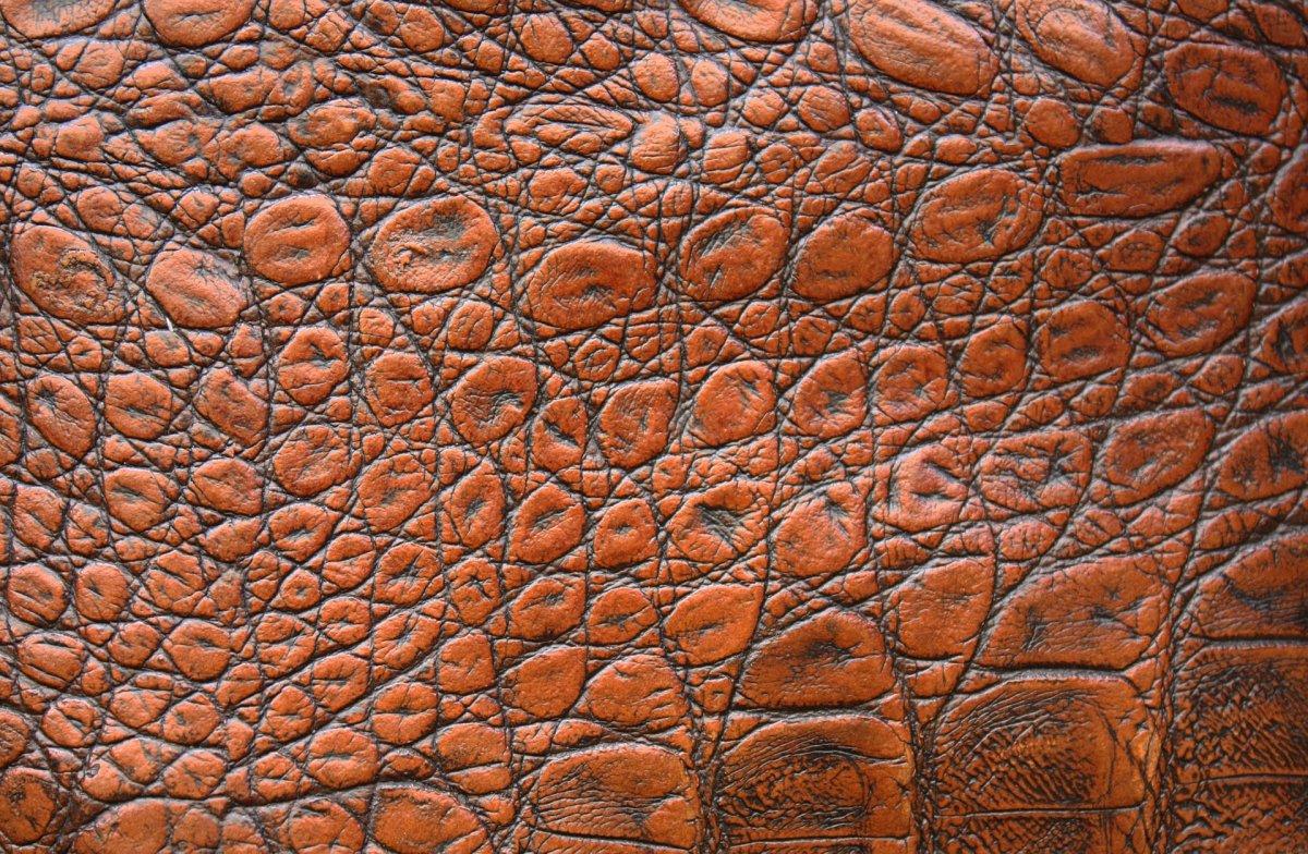 Close up of a heavily grained tanned leather