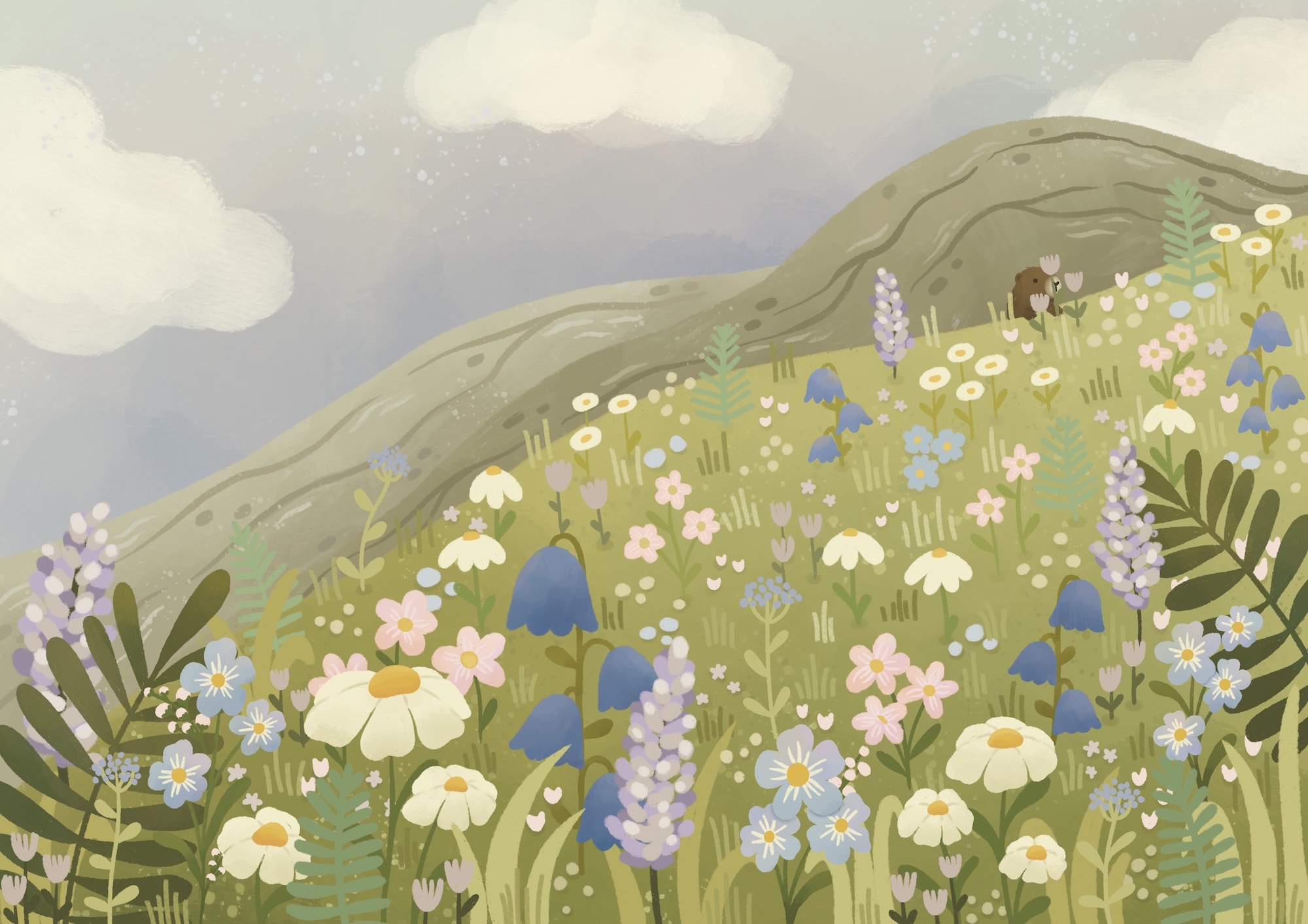 Illustration of rolling green hills with scattered wildflowers in white, blue, and purple. Grey sky with white clouds above. Green foliage in foreground.