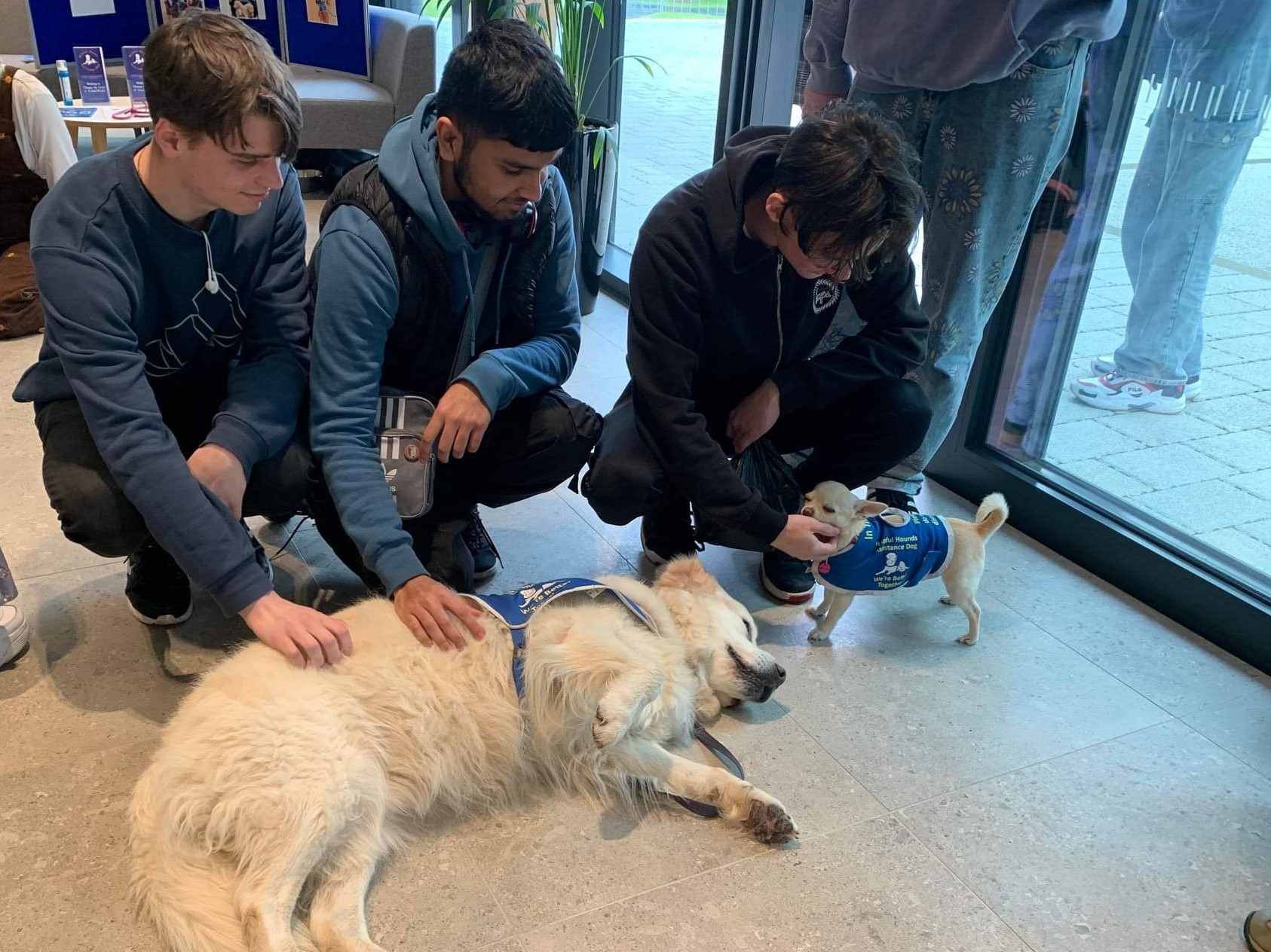 Three people crouch down by two dogs and pet them. One dog is lying on the floor on its side.