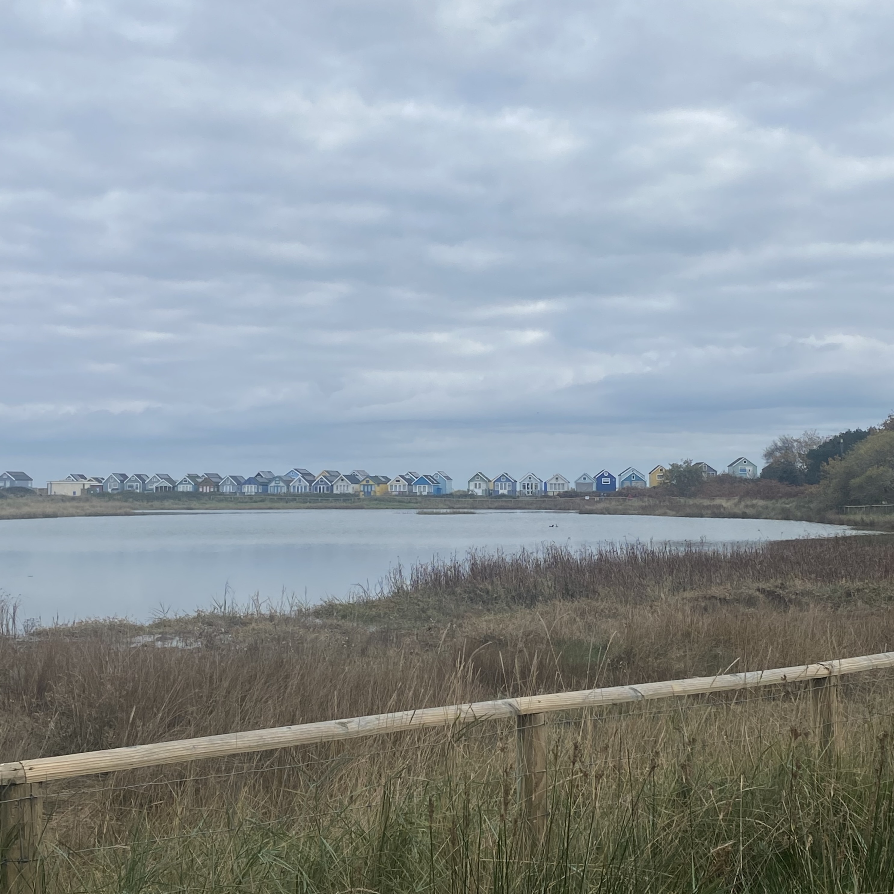 Coastal marshland with wooden fence in foreground, calm water in centre, and row of white houses along distant shoreline under cloudy sky.