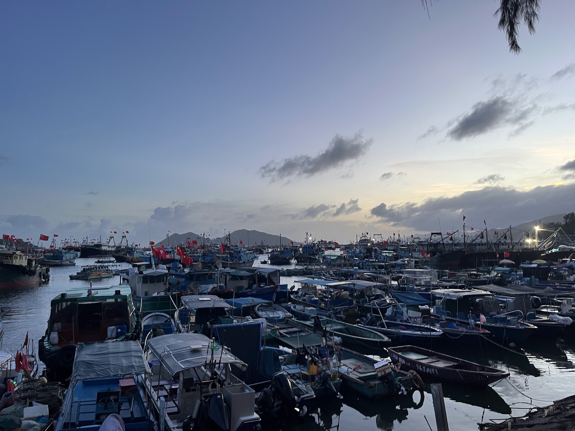 A crowded harbour filled with moored fishing boats and small vessels at dusk, with cranes and flagpoles visible along the waterfront.
