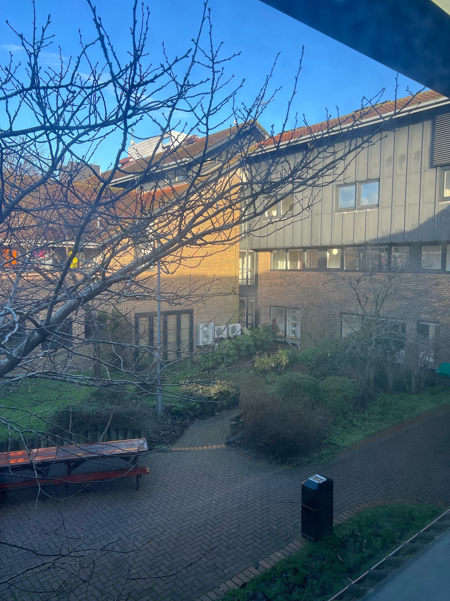Two-storey buildings on Arts University Bournemouth campus with tiled roofs, bare tree branches in foreground, paved garden area with bin, clear blue sky.
