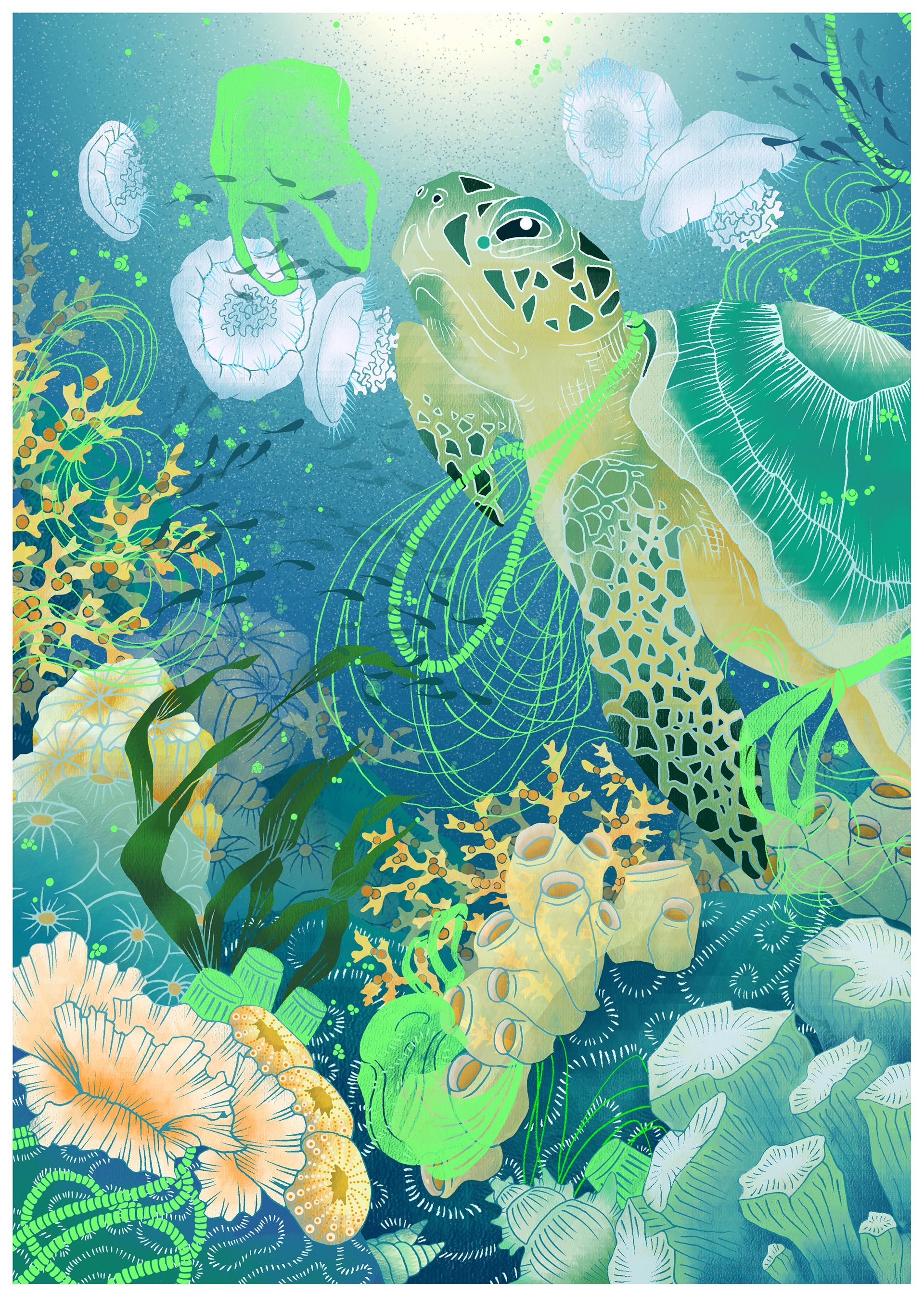 Illustration of turtle