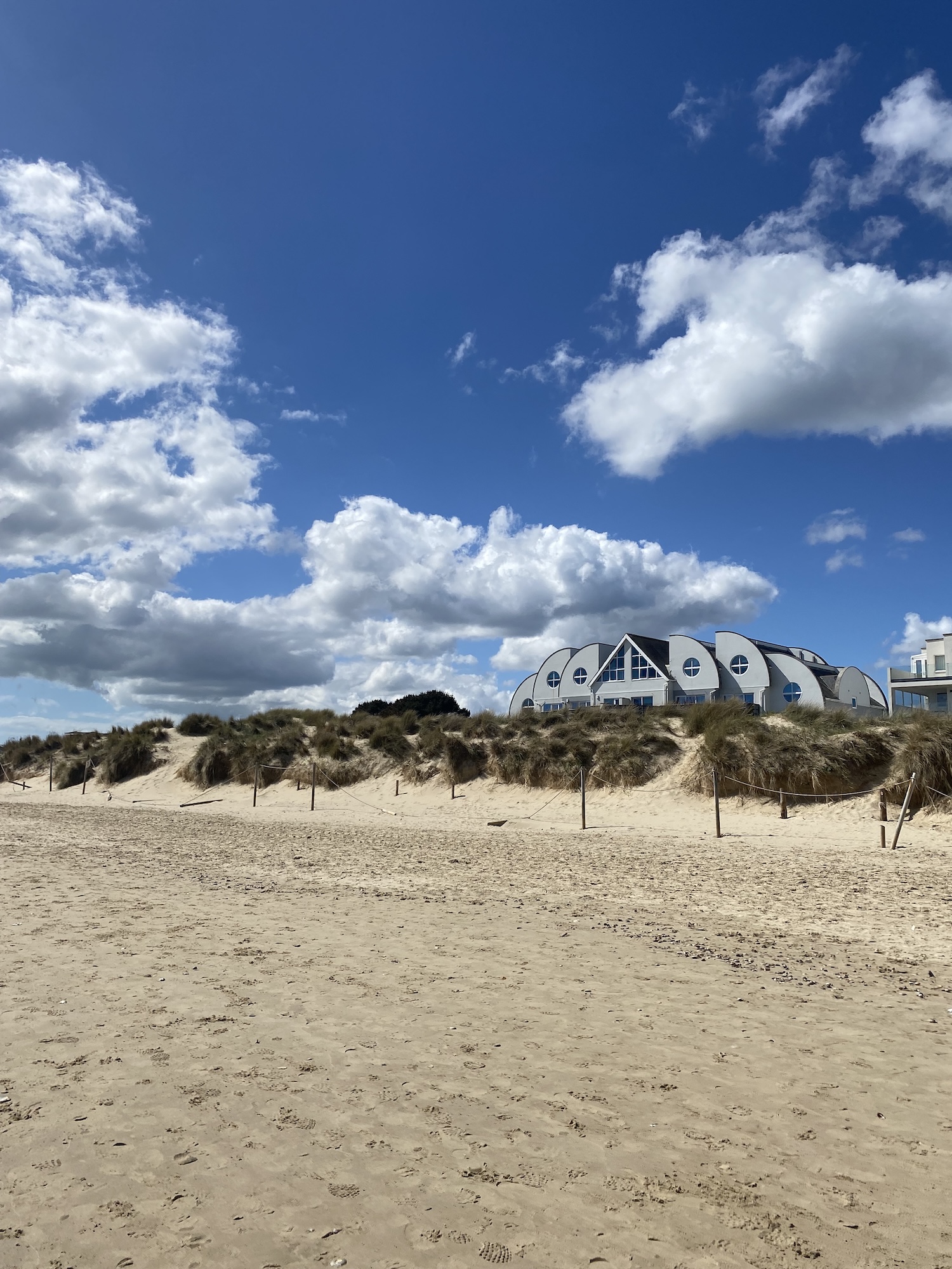 Sandy beach and grassy dunes at Sandbanks with modern houses in the background.