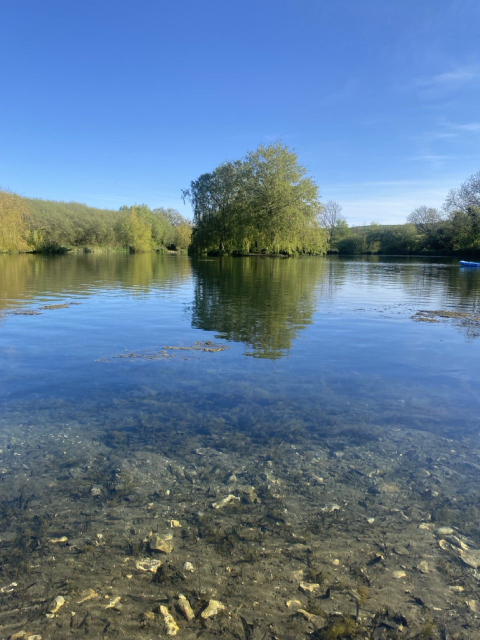 Peaceful lake on a sunny day with the reflection of a large willow tree in the distance and blue sky, stones and sand under the water.