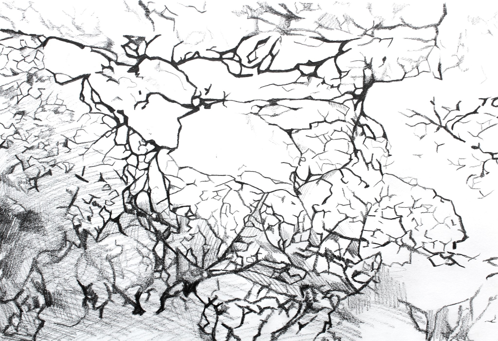 A hand-drawn illustration resembling a landscape from a bird's-eye view.