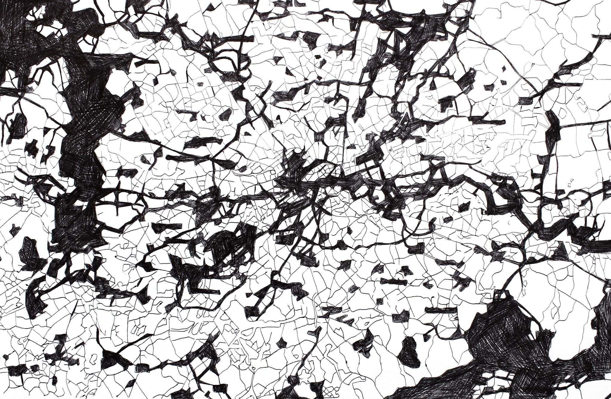 A hand-drawn illustration resembling fields from a bird's-eye view.