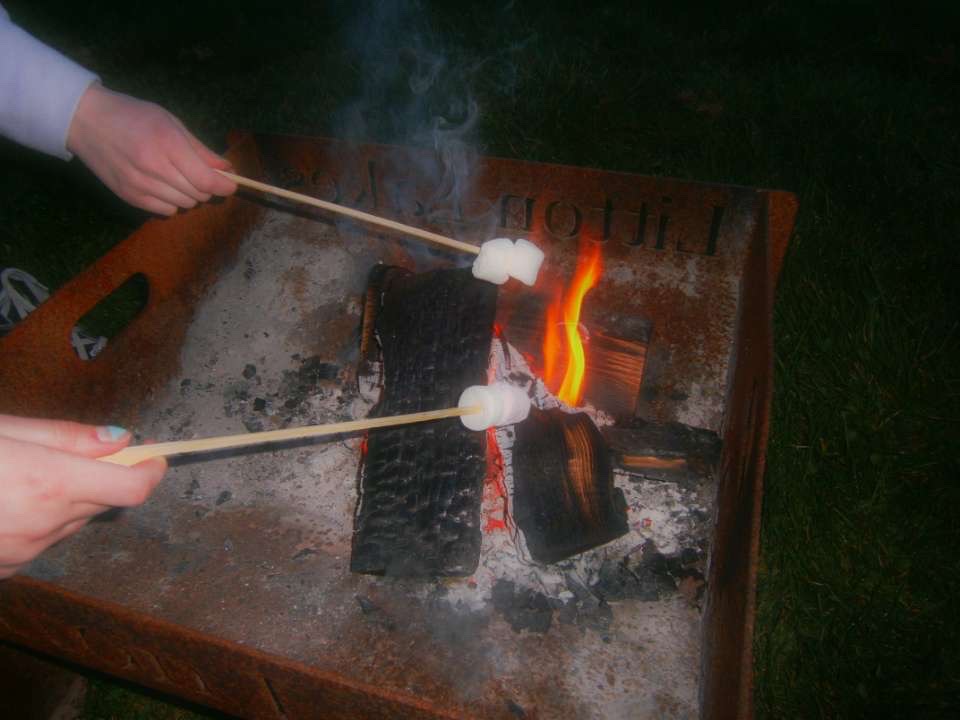 Two hands holding marshmallows on sticks over an open fire and embers.