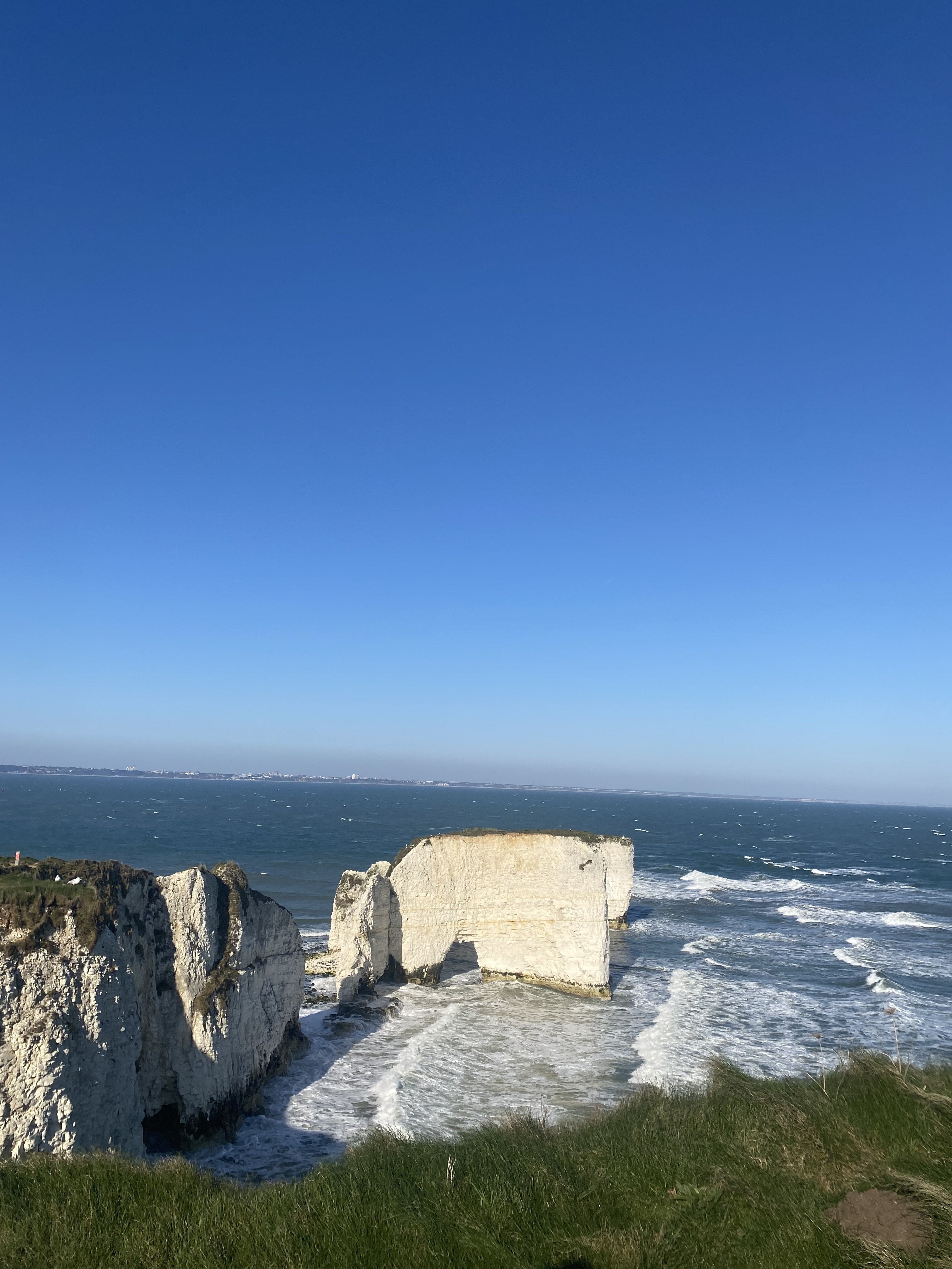 White chalk cliffs and rock stacks jutting into blue-green sea under clear blue sky, with green grass in foreground.
