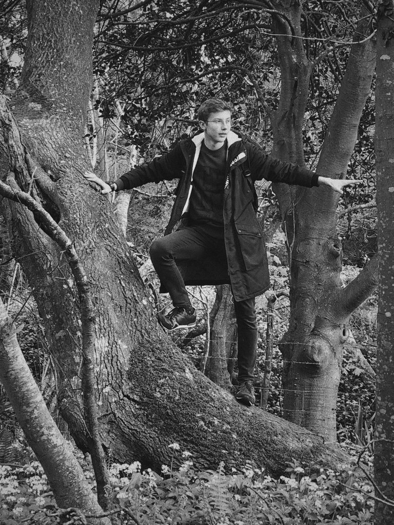 Boy standing in a tree