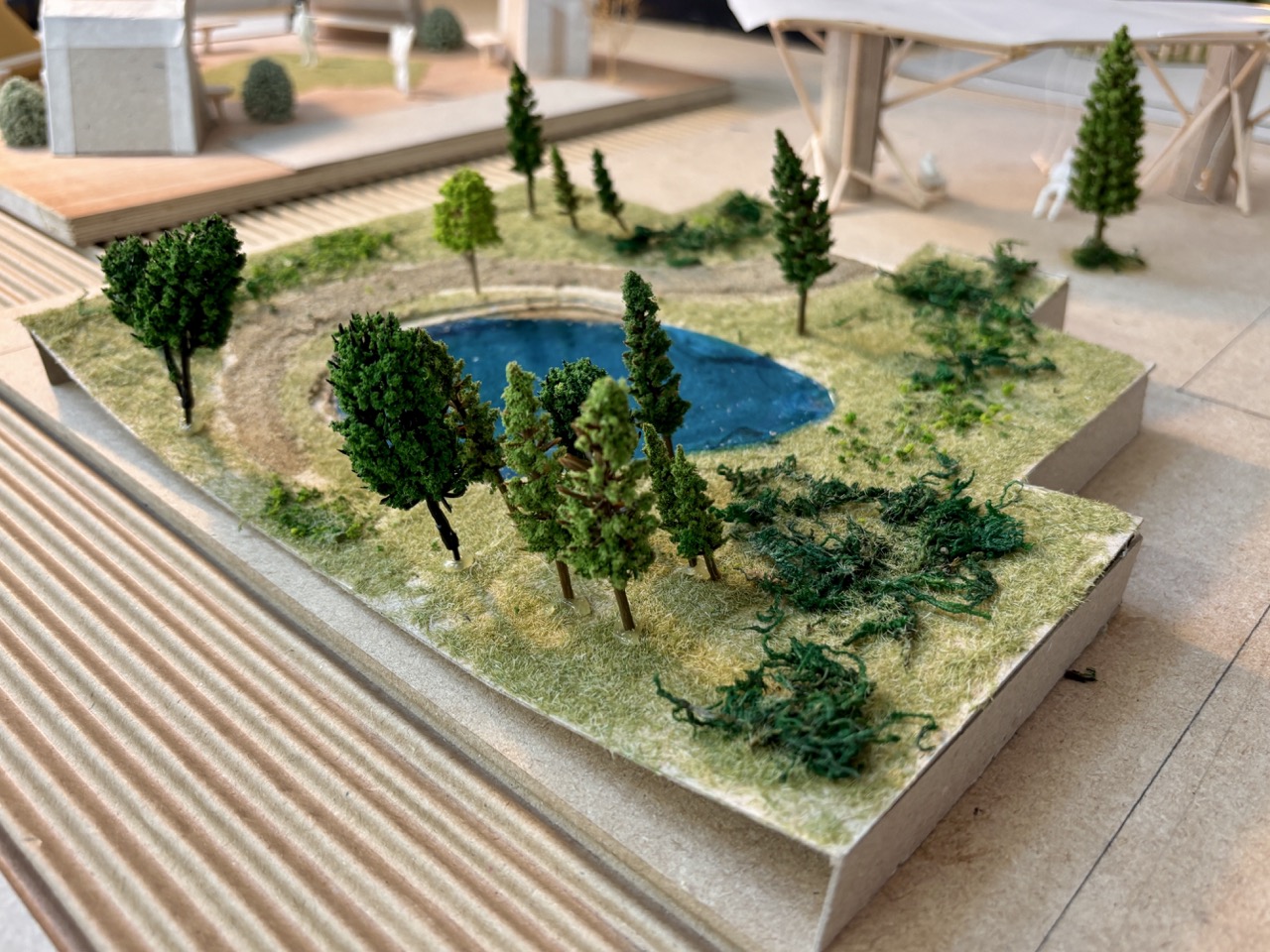 A small scale architectural model of a landscaped site with a blue pond, clusters of miniature trees and grassy terrain on a display table.