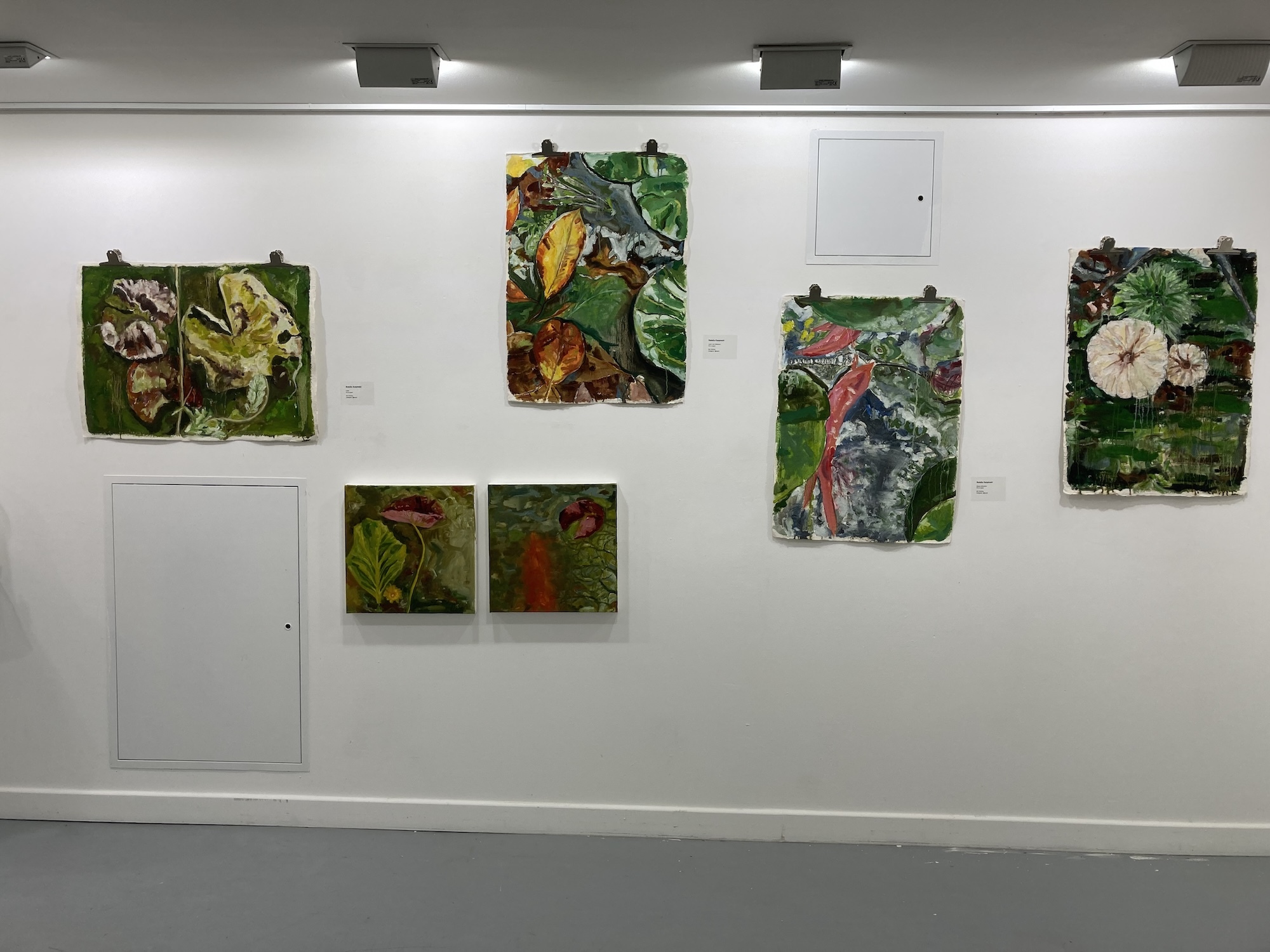 Gallery wall displaying six botanical artworks with green, yellow, and red colours under track lighting on white wall.