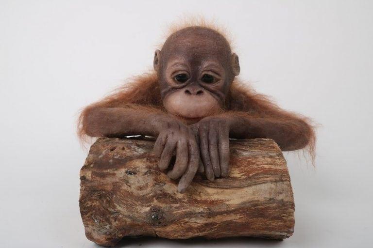 Emily’s model monkey