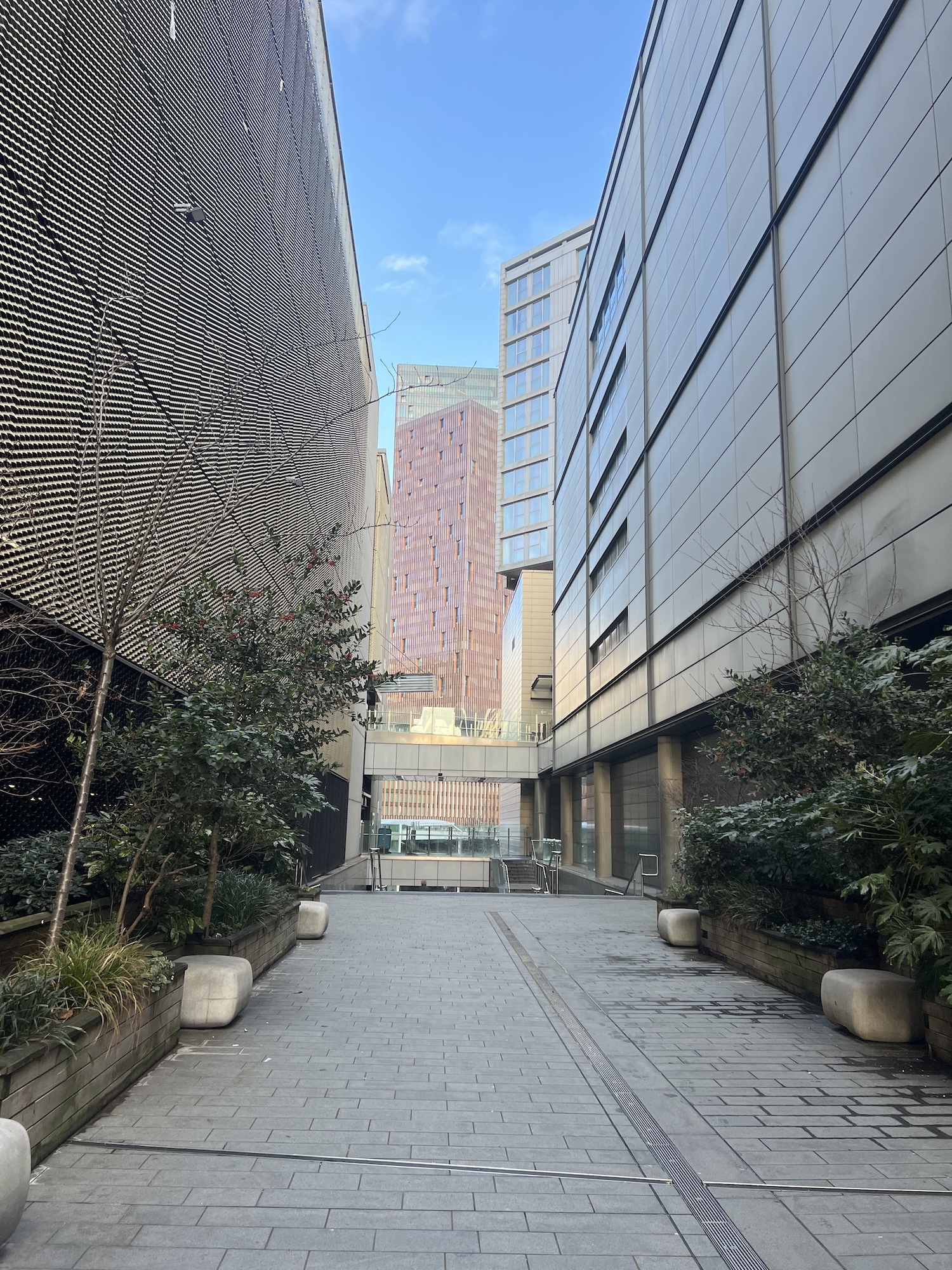 Modern courtyard with grey paved walkway flanked by tall glass and metal buildings, planted areas with green foliage, blue sky visible above.