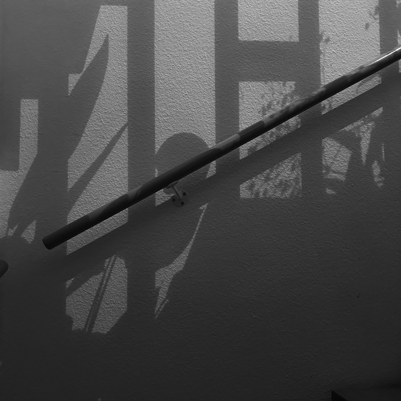 B&W photography of plant shadows up a stair rail.