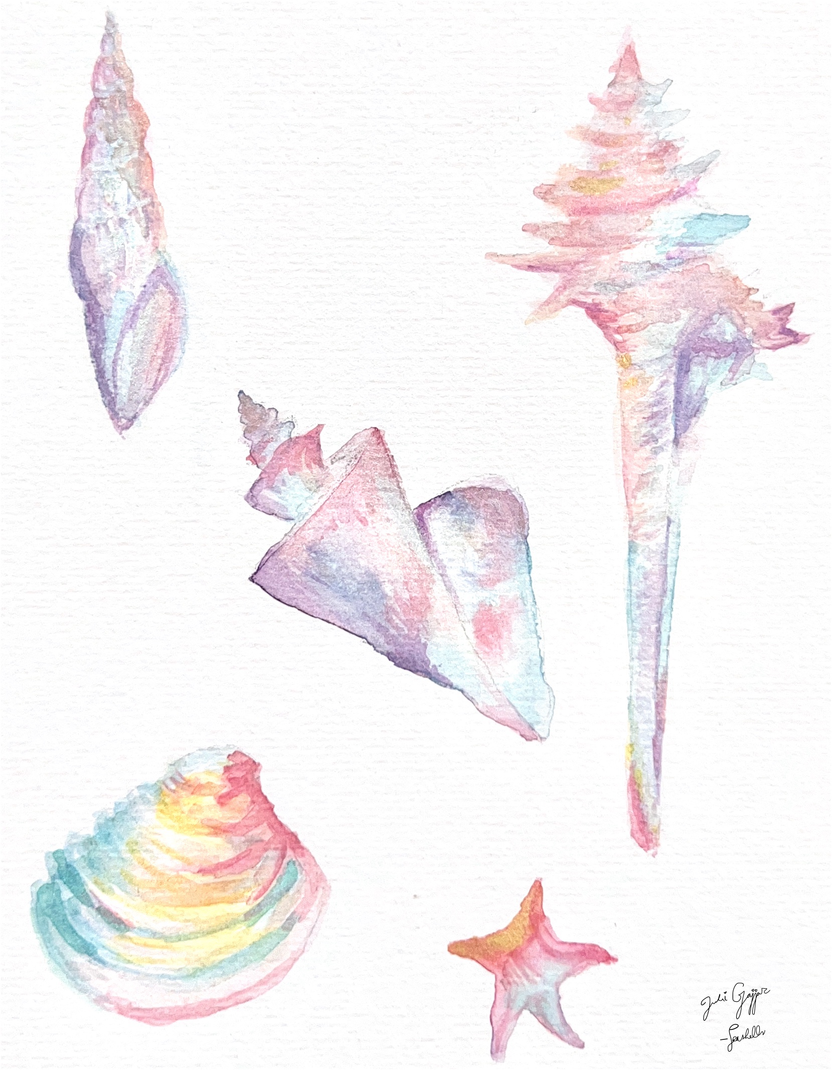 Watercolour illustrations of pastel seashells and a starfish on a white background, arranged with a tall conch at top right and a spiral shell at lower left.